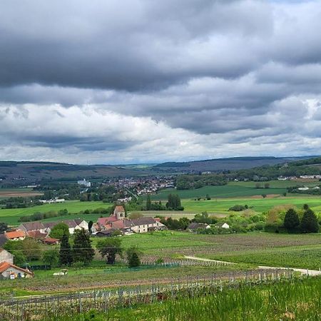 Le Coq De Champagne Βίλα Dormans Εξωτερικό φωτογραφία