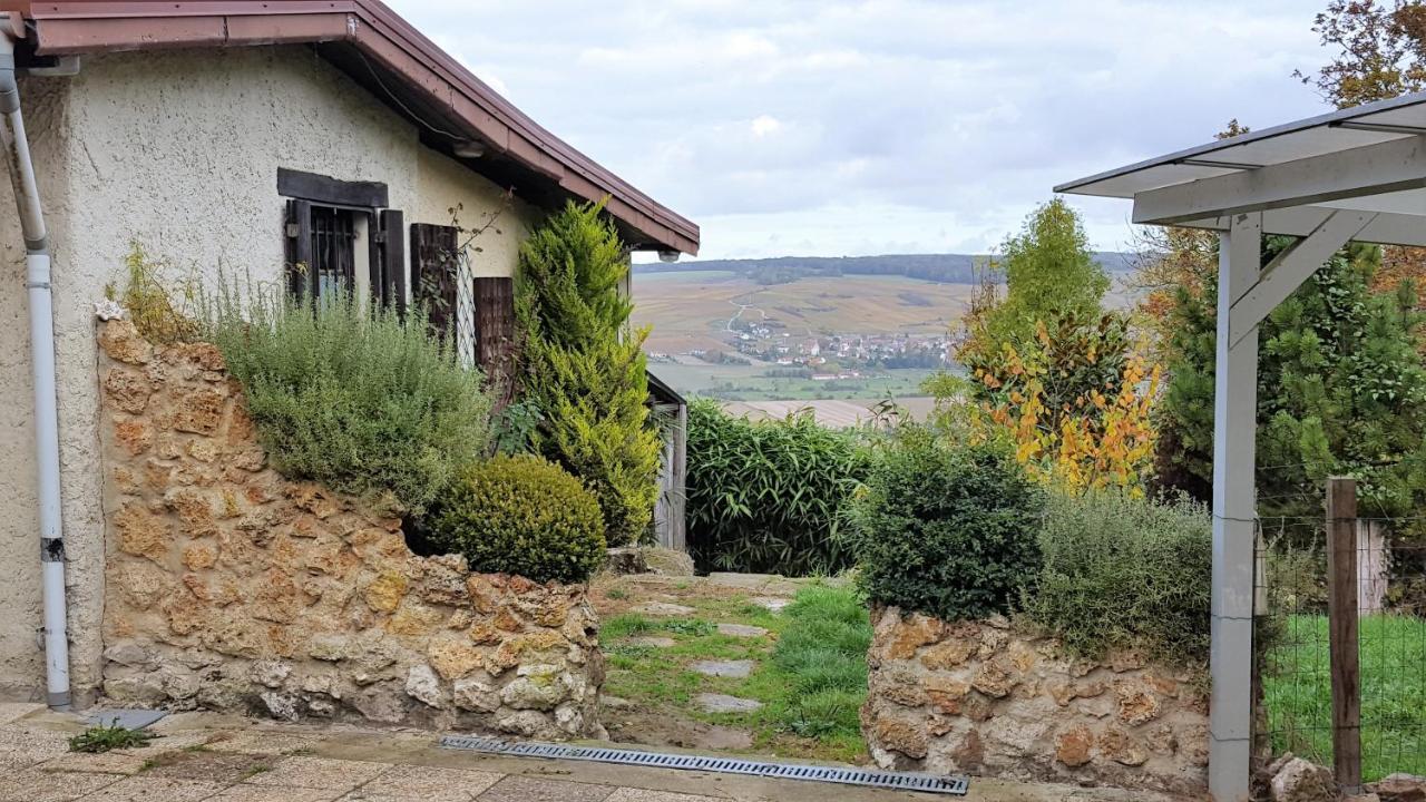 Le Coq De Champagne Βίλα Dormans Εξωτερικό φωτογραφία